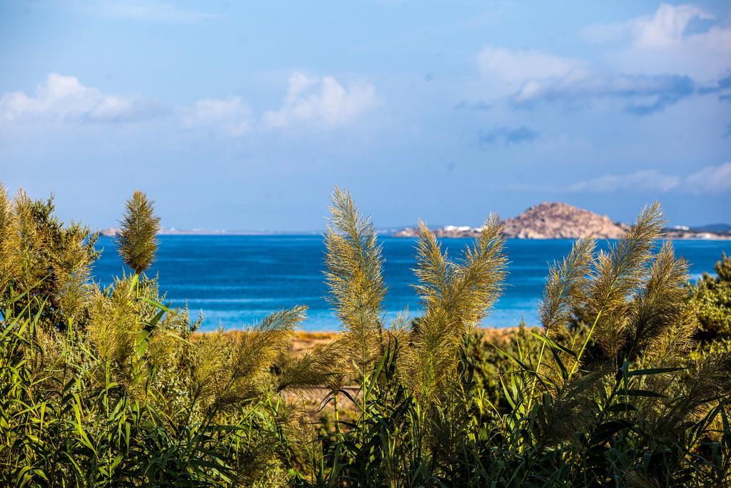 Villa Alyko Aliko Beach Ngoại thất bức ảnh